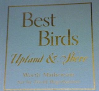 Best Birds Book by Mathewson 1st Limited Ed Signed Fully Illustrated