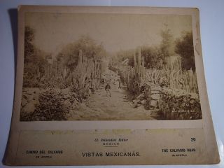 Vistas Mexicanas The Calvario Road in Ayotla Mexico Detailed