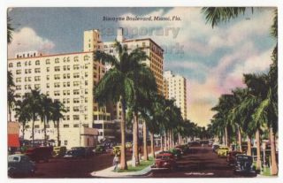 Miami Florida Biscayne Boulevard Street View 1940s Vintage Postcard