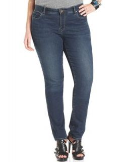 DKNY Jeans Plus Size Jeans, Skinny, Bergman Wash