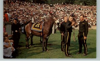 West Point NY Michie Stadium Army Mule Mascot Old PC