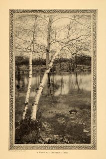 1909 Print Middlesex Fells Landscape Birch Trees River Original