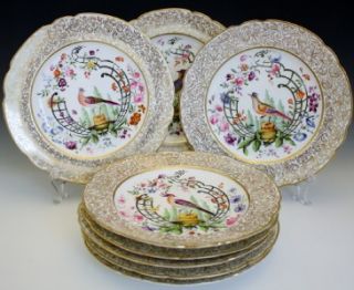 Set 8 French c1830 Old Paris Exotic Bird Hand Painted Porcelain Dinner