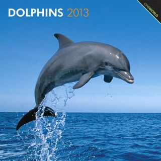 Kalender 2013 Delfine   Dolphins   Browntrout