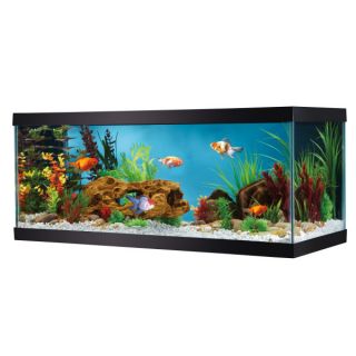 PetsmartFish: Aquariums: 20 40 Gallons: Top Fin 20 Gallon Glass Aquarium