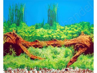 Aquarium Hintergrund Rückwand Pflanzen, Wurzel 212 16