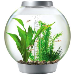 Designer Fish Tanks & Elegant Aquariums