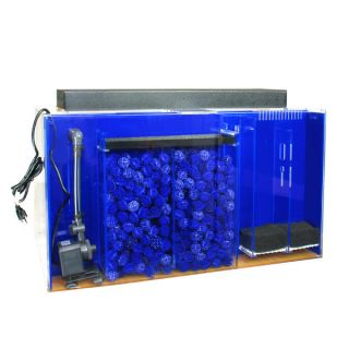 Clear For Life Rectangle Acrylic UniQuarium 135 Gallons   Over 40 Gallons   Aquariums