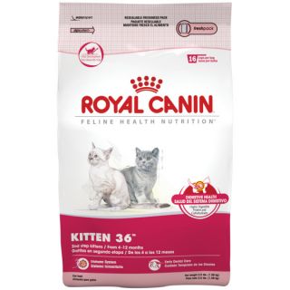 New Cat Products & Kitten Supplies