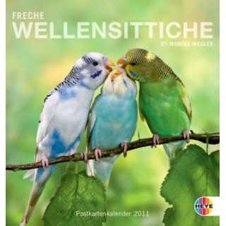 Freche Wellensittiche 2011. Postkartenkalender: Monika