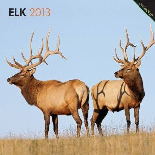 Elk 2013   Hirsche   Original BrownTrout Kalender (One World) 