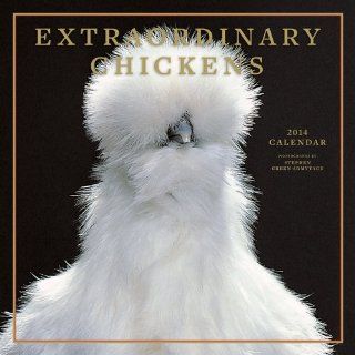 Extraordinary Chickens 2014 Wall Calendar von Stephen Green Armytage