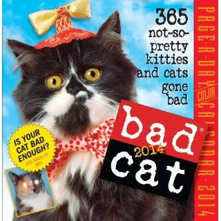 Bad Cat® 2014 Page A Day Calendar: Workman Publishing
