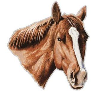 Magnet Aufkleber Pferdekopf Horse Größe ca Höhe 21 cm Breite 20 cm