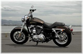 Anzahlung Harley Davidson Sportster 1200 Custom 110th Anniversary
