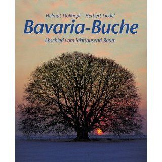 Bavaria Buche Abschied vom Jahrtausend Baum Helmut