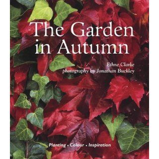 Autumn Gardens: Planting   Colour   Inspiration: Ethne