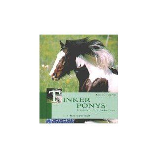 Tinker Ponys Irlands coole Schecken Christiane Slawik