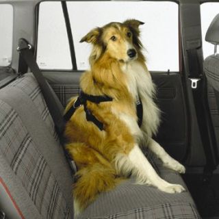 Profi Sicherheitsgurt für Hunde (XL sehr große Rassen)
