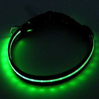 Nylon Sicherheits Halsband mit blauem LED Blitzlicht für