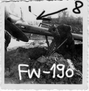 Orig. Foto, Luftwaffe Flugzeug, Focke Wulf Fw 190, Nr. 8
