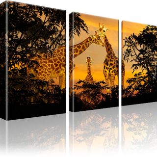 Giraffen Afrika Natur Tiere Bild 3 Teilig Bilder Wandbild Kunstdruck