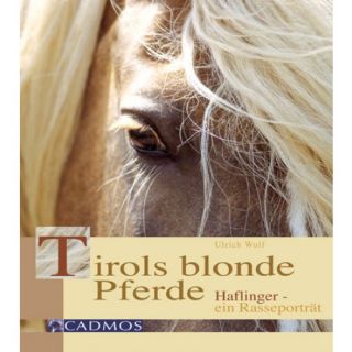 Tirols blonde Pferde   Haflinger   ein Rasseporträt *Pferd * NEU