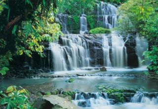 Fototapete Wandbild XXL Wasserfall Wald 8 256 368x254cm