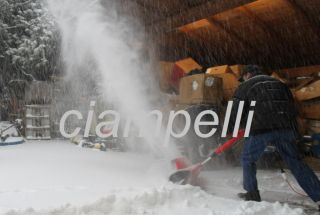 Schneefräse elektrische 1400 w snow thrower blower