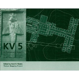 Kv 5 A Preliminary Report on the Excavation of the Tomb of the Sons