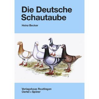 Die Deutsche Schautaube. Zucht und Haltung: Heinz Becker