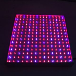 4pcs Neu 225W LED Rot/Blau Pflanzenlampe Pflanzenlicht Hydroponic