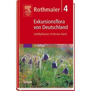 Rothmaler   Exkursionsflora von Deutschland. Bde. 1 4 Gesamtwerk