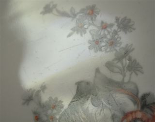 Königszelt Charlotte 1400 Blumendekor Platte Bratenplat