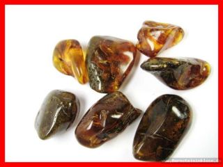 Bernsteine * Amber * Rohbernstein * Raw Amber *getrommelt