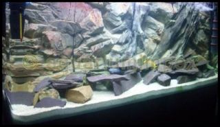 Aquarium 3 D Rückwand Root Felsen Wurzel 120x50 120 50
