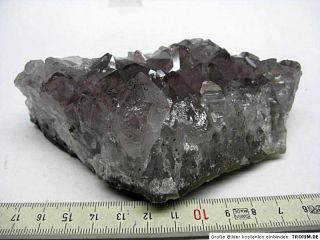 cmAmethystdruse,Geode,Druse,Edelstein,Kristall, 0,65kg / 456/ Stk