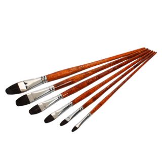 6PCS Professional Artist Watercolor Oil Paint Brush Set Flat Aluminum