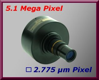 MP Digital CCD Okular Mikroskop Kamera mit Sony ICX452AQ