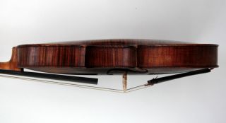 Sammlungsauflösung Uralte Geige, violin Phillipus Brandilioni 1795
