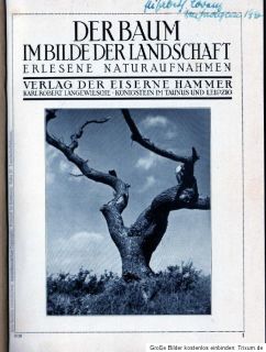 Der Baum im Bilde der Landschaft, Verlag Der eiserne Hammer um 1940