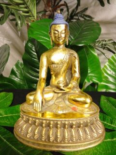 A517 Shakyamuni Buddha,Medizinbuddha.ca.21cm H. china