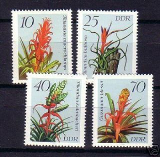DDR Nr. 3149 52 ** Tropische Pflanzen