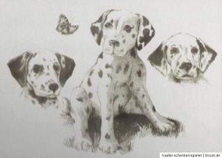 Sketching   Skizzieren   Malen mit Bleistift   Hunde   Dalmatiner 30