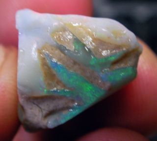 Opal aus Lightning Ridge in Australien O678 sehr schöner Roh Opal TOP