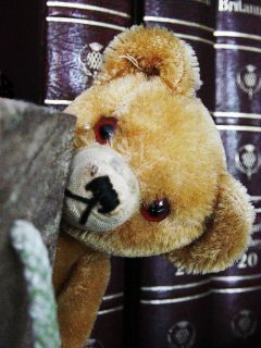 Alter Teddy Teddybär Bär old bear ours antique