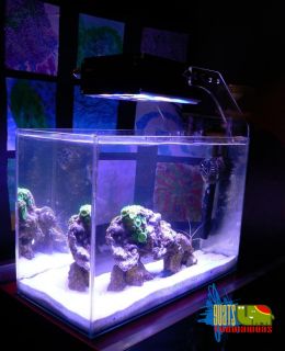 shine NanoStream 36W Bridgelux Led Aquariumbeleuchtung