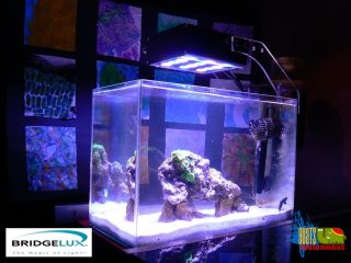 shine NanoStream 36W Bridgelux Led Aquariumbeleuchtung
