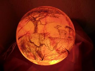 wunderschöne Deko Leuchtkugel Afrikanische Tiere NEU LED Lichterkette