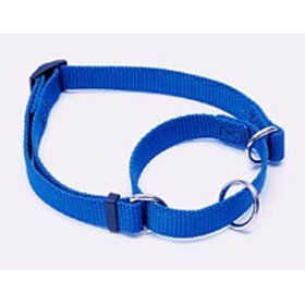 Nylon Dog Collar (Blue, 14 20 Inch L x 3/4 Inch W): Pet Supplies